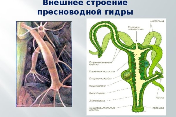 Кракен маркет даркнет только через