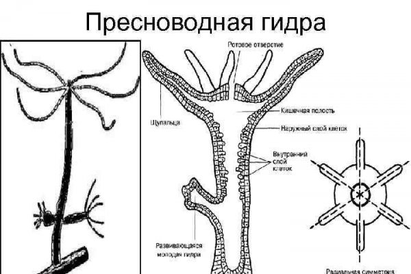 Как войти на сайт кракен